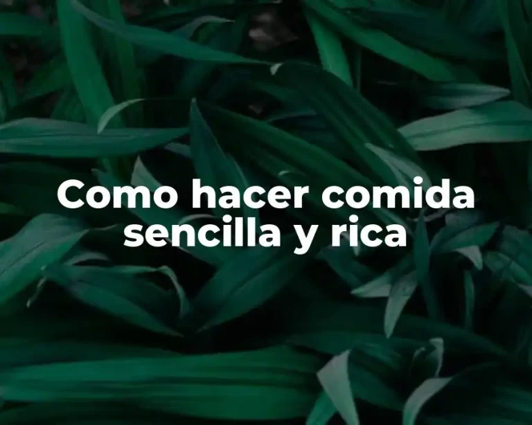 Como hacer comida sencilla y rica