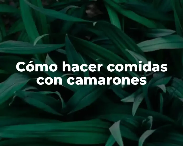 Cómo hacer comidas con camarones