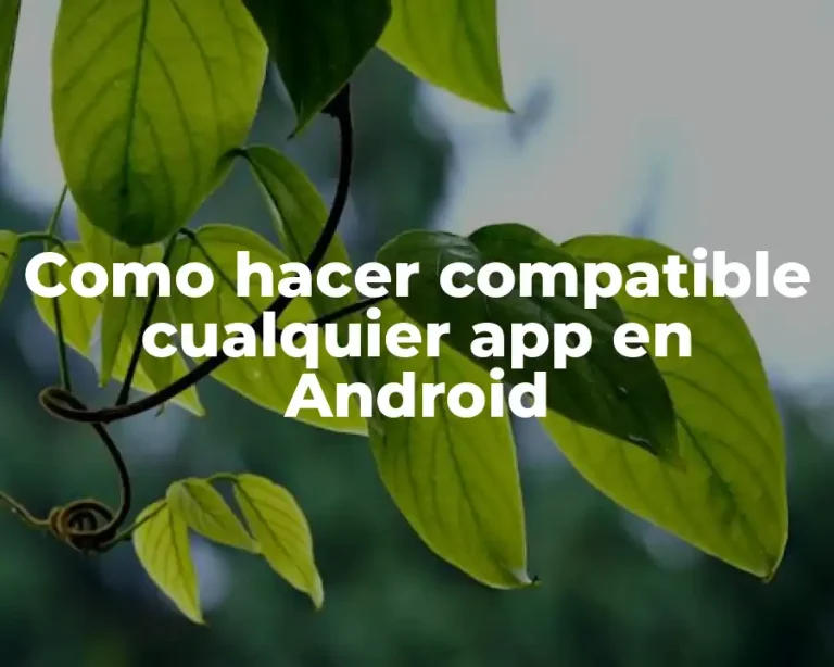 Como hacer compatible cualquier app en Android