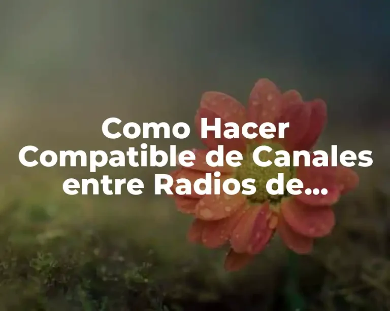 Como Hacer Compatible de Canales entre Radios de Diferentes Marcas