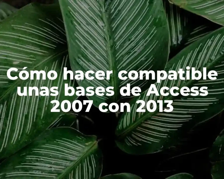 Cómo hacer compatible unas bases de Access 2007 con 2013