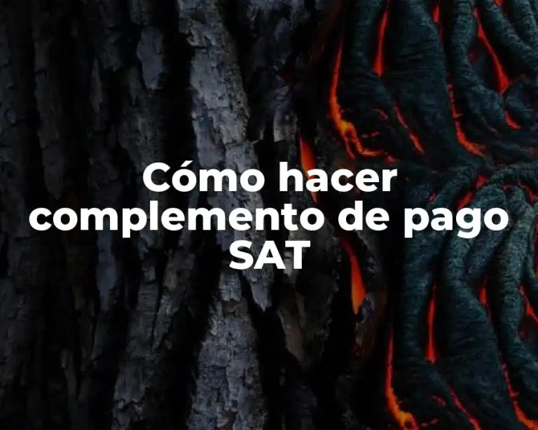 Cómo hacer complemento de pago SAT