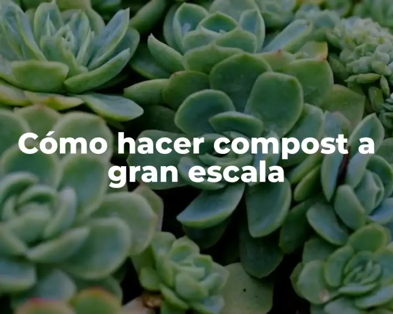 Cómo hacer compost a gran escala