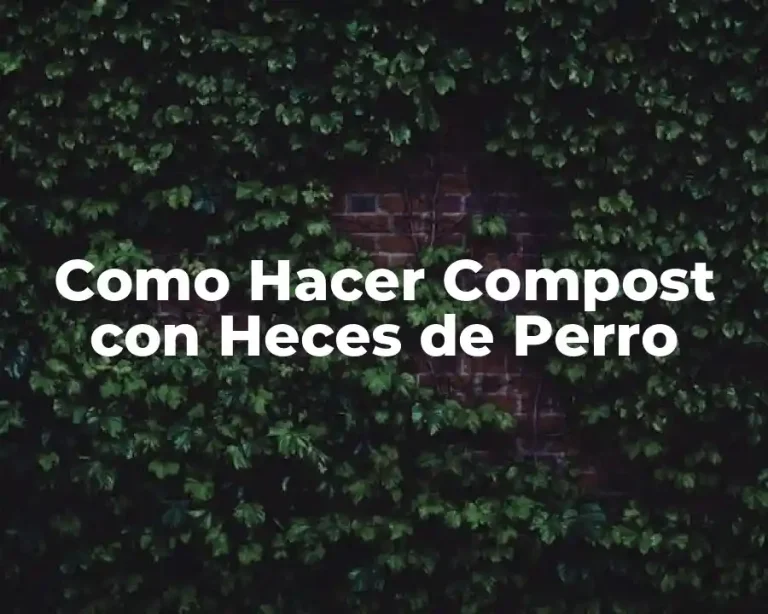 Como Hacer Compost con Heces de Perro