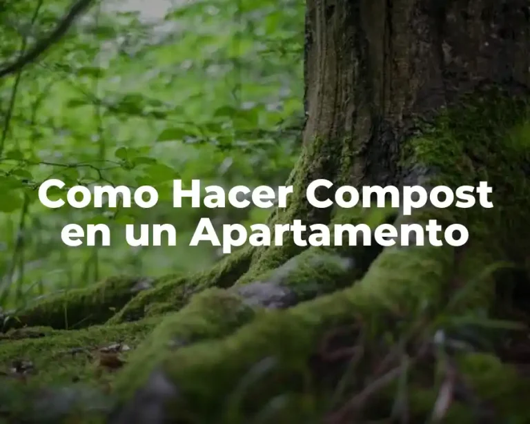 Como Hacer Compost en un Apartamento