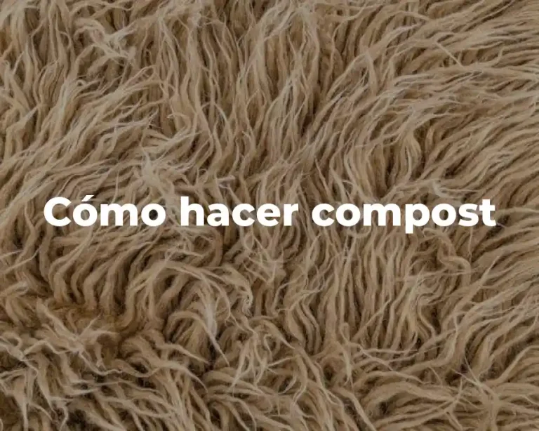 Cómo hacer compost