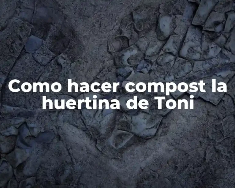 Como hacer compost la huertina de Toni