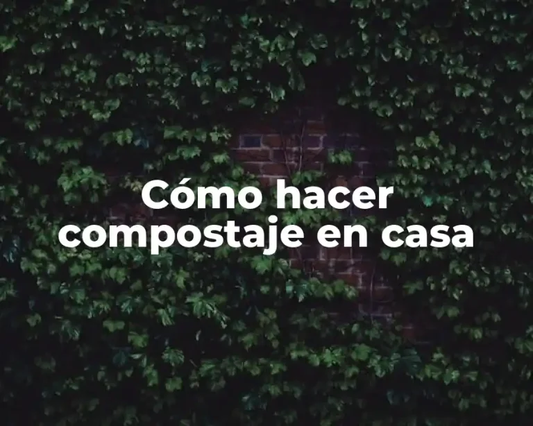 Cómo hacer compostaje en casa