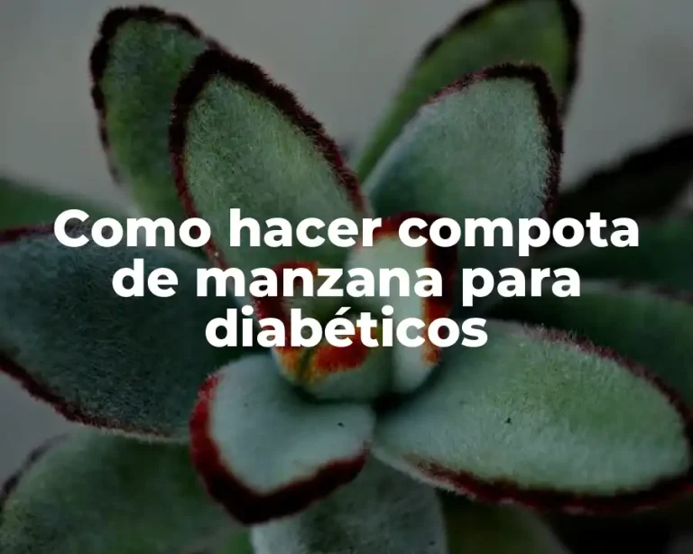 Como hacer compota de manzana para diabéticos