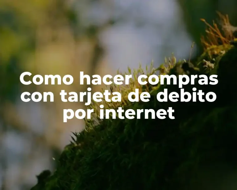 Como hacer compras con tarjeta de debito por internet