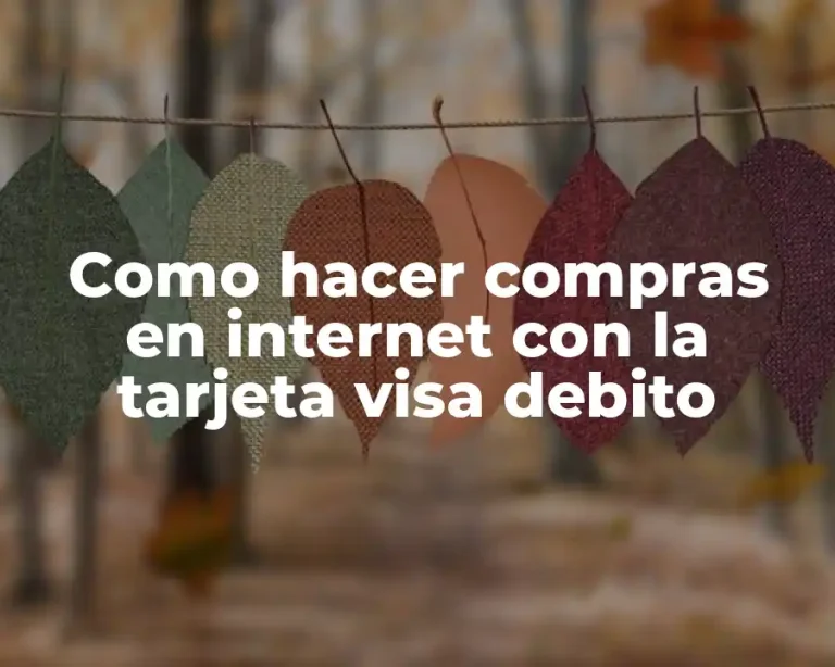 Como hacer compras en internet con la tarjeta visa debito