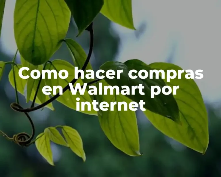 Como hacer compras en Walmart por internet