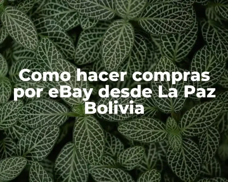 Como hacer compras por eBay desde La Paz Bolivia