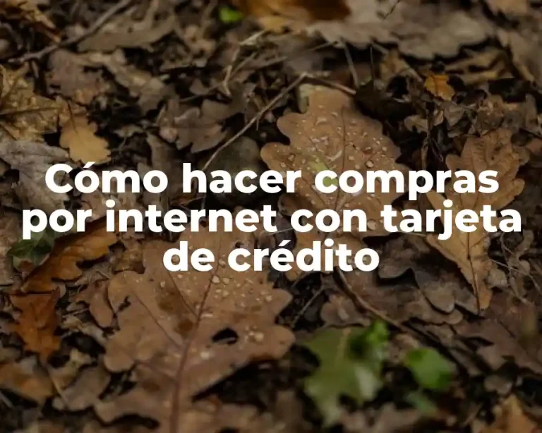 Cómo hacer compras por internet con tarjeta de crédito