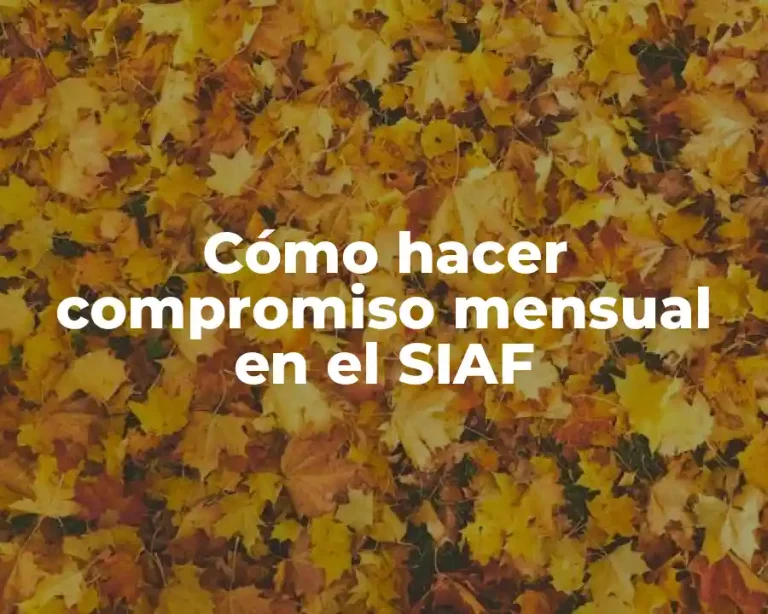 Cómo hacer compromiso mensual en el SIAF