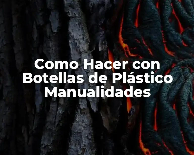 Como Hacer con Botellas de Plástico Manualidades