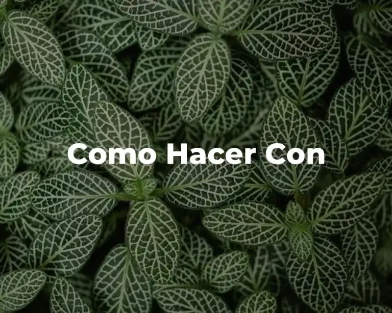 Como Hacer Con