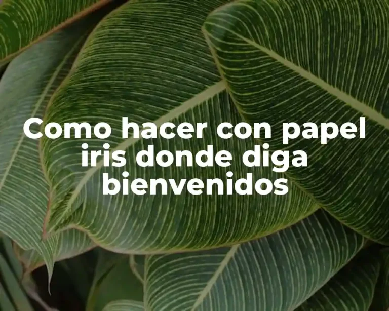 Como hacer con papel iris donde diga bienvenidos