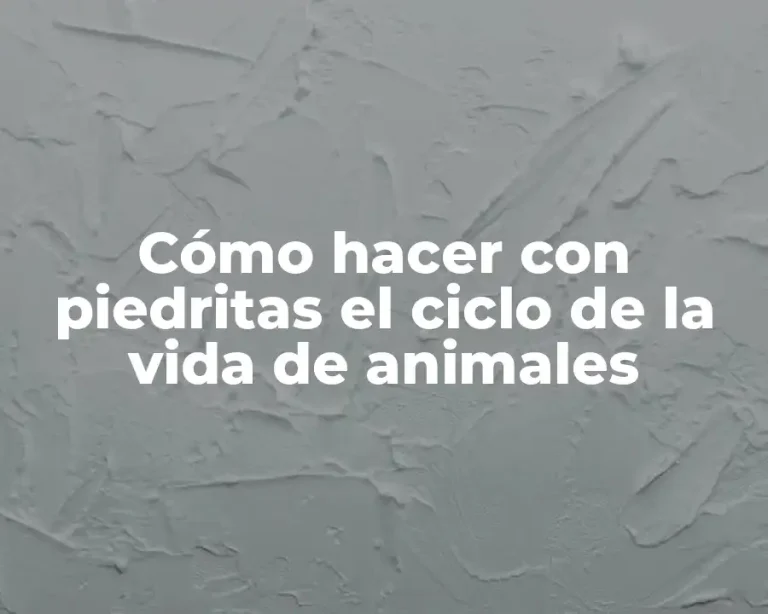 Cómo hacer con piedritas el ciclo de la vida de animales