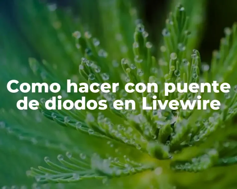 Como hacer con puente de diodos en Livewire