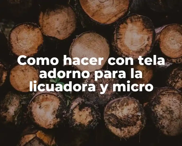 Como hacer con tela adorno para la licuadora y micro