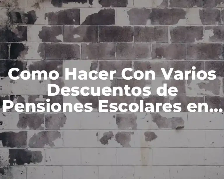 Como Hacer Con Varios Descuentos de Pensiones Escolares en Excel