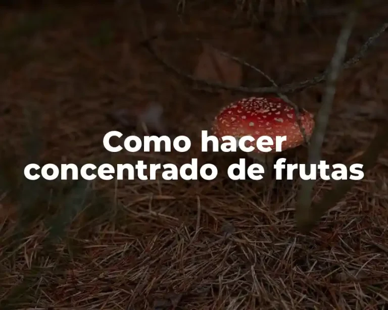 Como hacer concentrado de frutas
