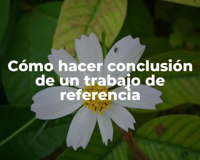 Cómo hacer conclusión de un trabajo de referencia