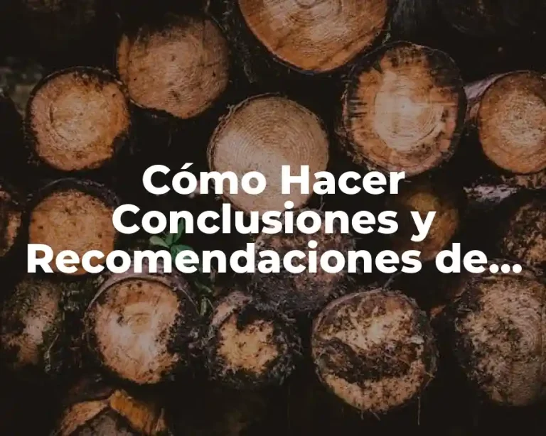 Cómo Hacer Conclusiones y Recomendaciones de una Investigación