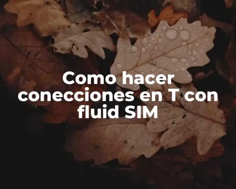 Como hacer conecciones en T con fluid SIM