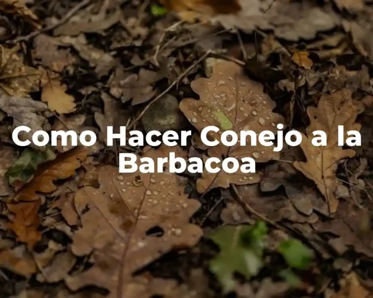Como Hacer Conejo a la Barbacoa