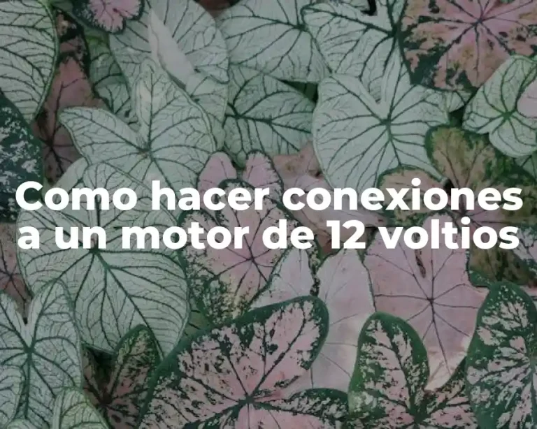 Como hacer conexiones a un motor de 12 voltios