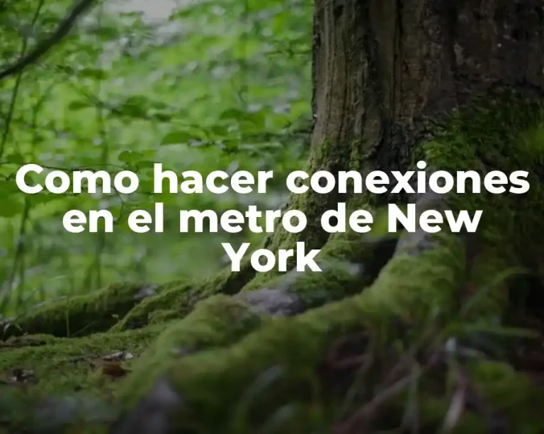 Como hacer conexiones en el metro de New York