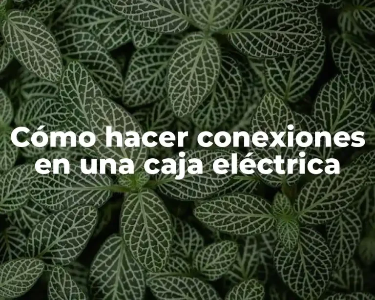 Cómo hacer conexiones en una caja eléctrica