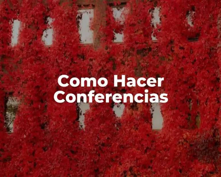 Como Hacer Conferencias