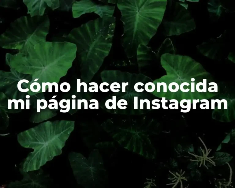 Cómo hacer conocida mi página de Instagram
