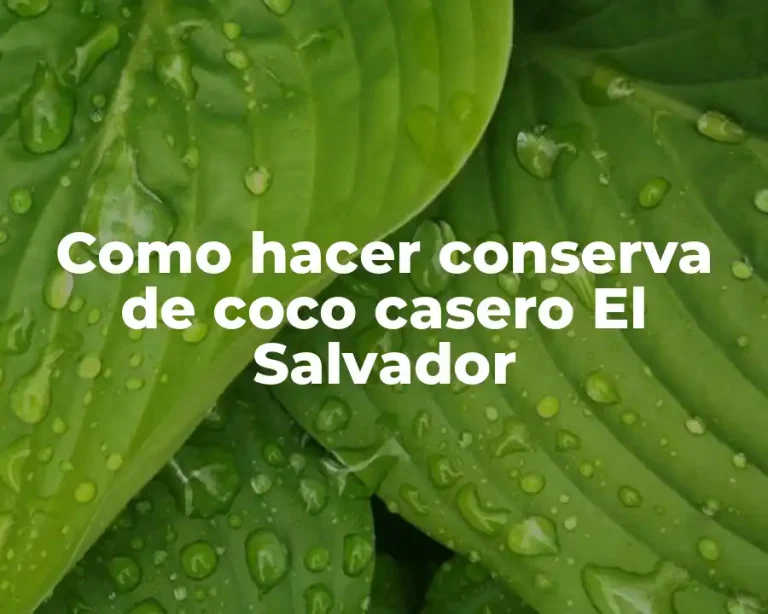Como hacer conserva de coco casero El Salvador