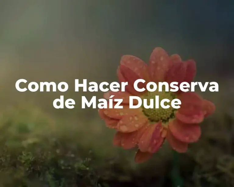 Como Hacer Conserva de Maíz Dulce