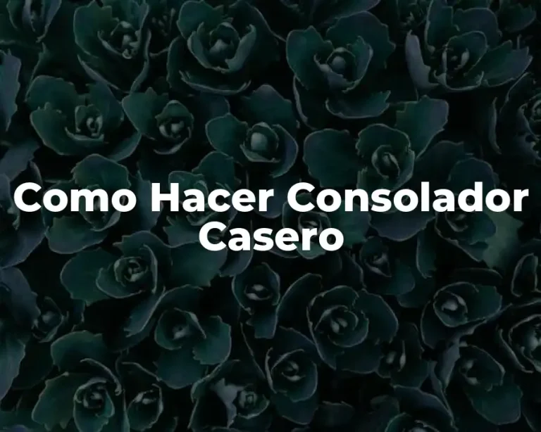 Como Hacer Consolador Casero