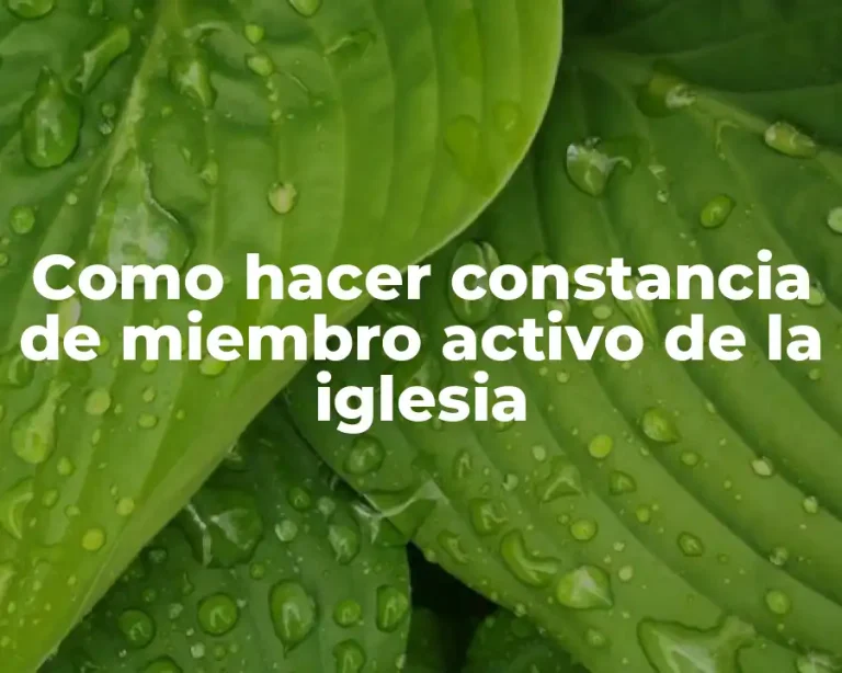 Como hacer constancia de miembro activo de la iglesia