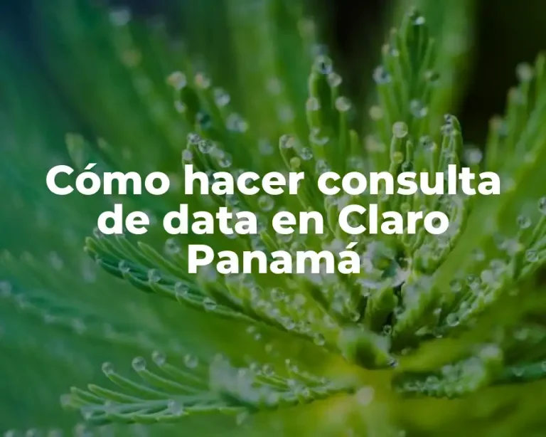 Cómo hacer consulta de data en Claro Panamá