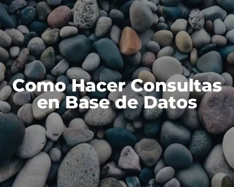 Como Hacer Consultas en Base de Datos