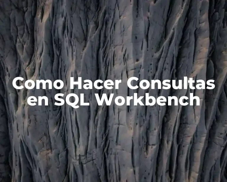 Como Hacer Consultas en SQL Workbench