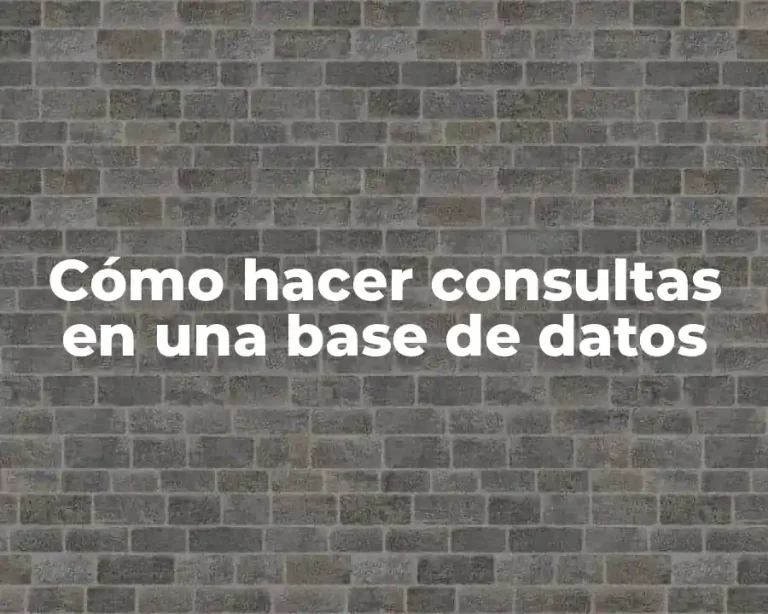 Cómo hacer consultas en una base de datos