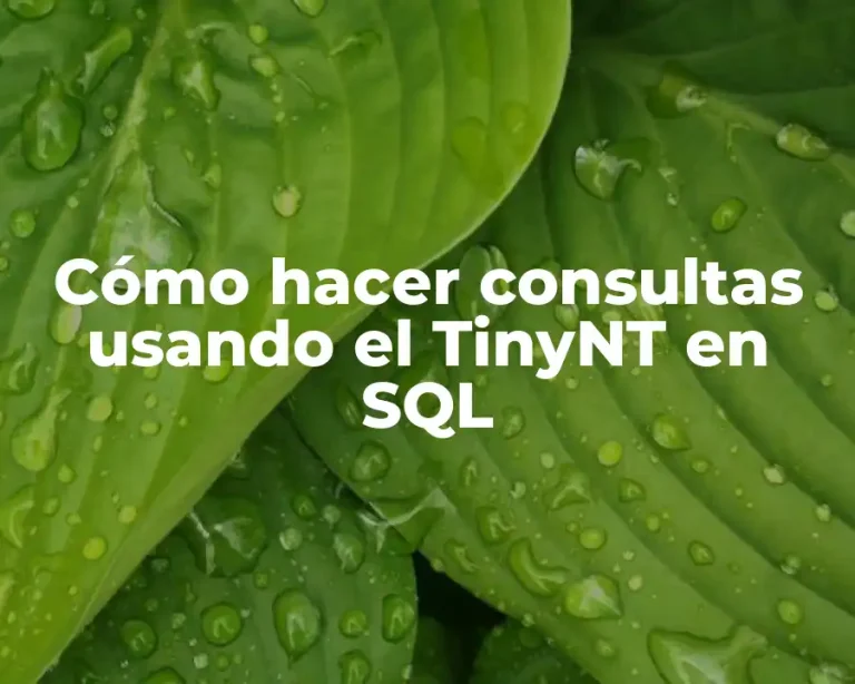 Cómo hacer consultas usando el TinyNT en SQL