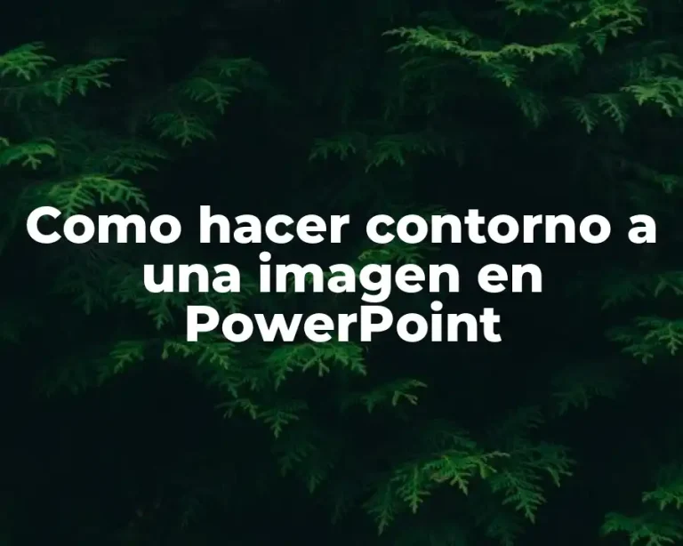 Como hacer contorno a una imagen en PowerPoint