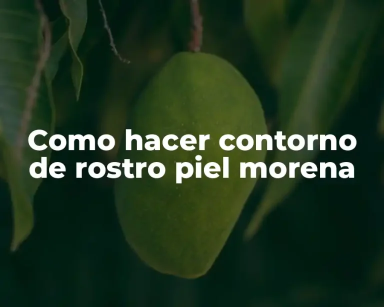 Como hacer contorno de rostro piel morena