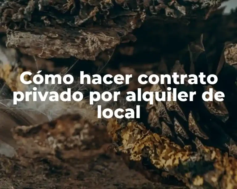 Cómo hacer contrato privado por alquiler de local