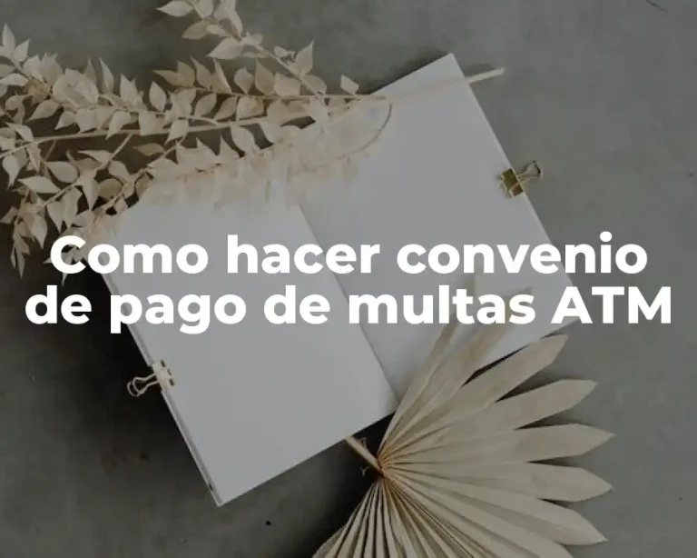 Como hacer convenio de pago de multas ATM