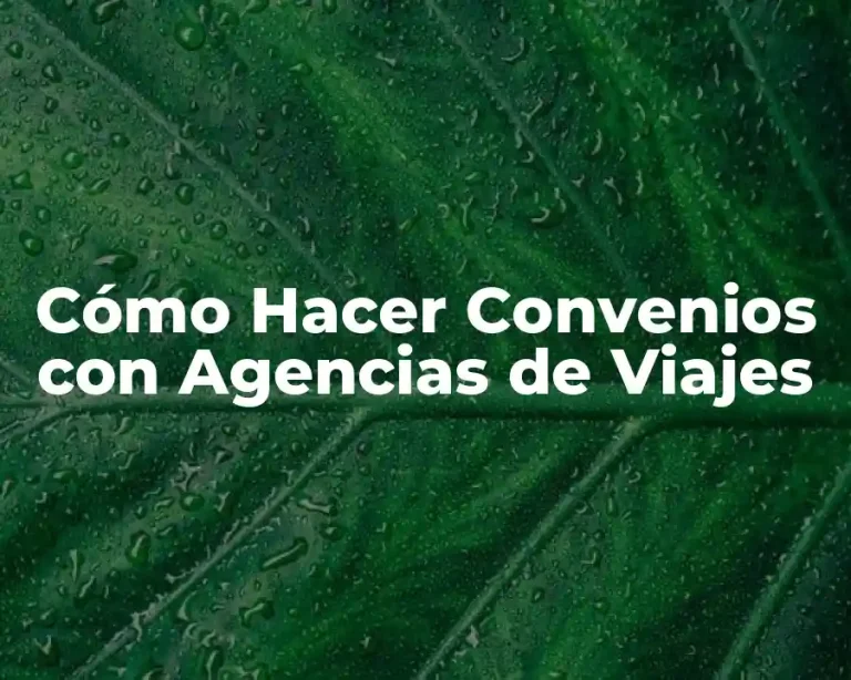 Cómo Hacer Convenios con Agencias de Viajes